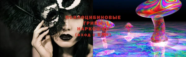 соль ск Медвежьегорск