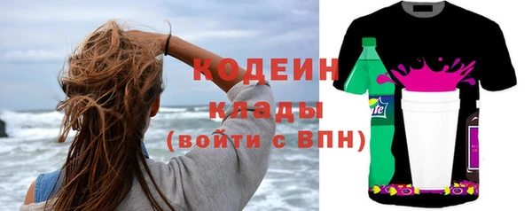 индика Мегион