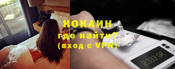 индика Мегион
