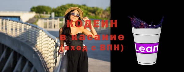 индика Мегион