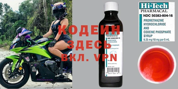 индика Мегион