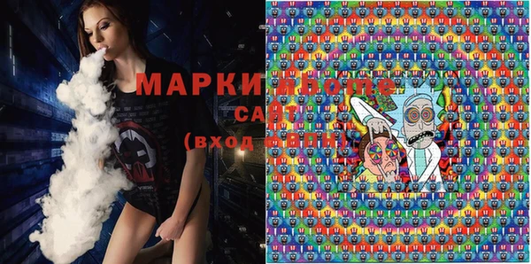 индика Мегион