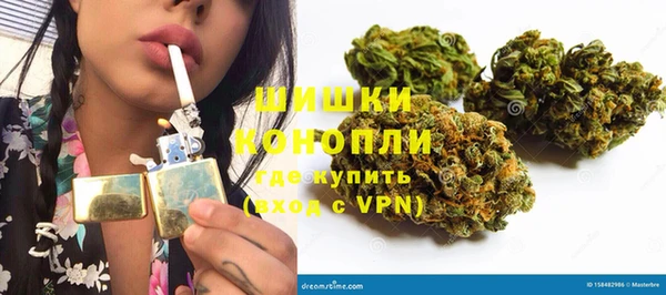 индика Мегион