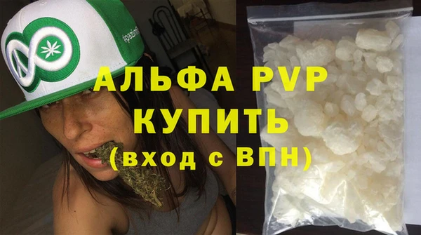 индика Мегион