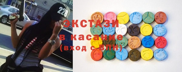 индика Мегион
