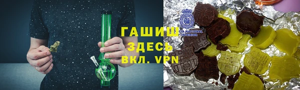 индика Мегион