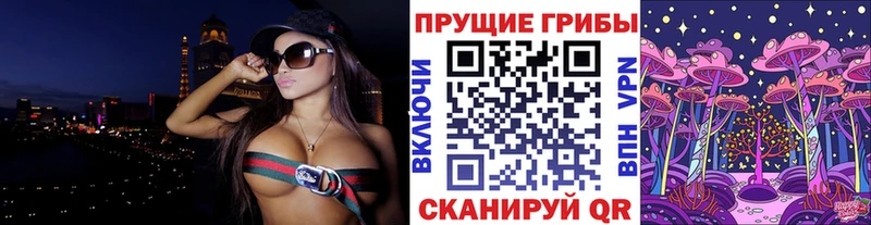 Псилоцибиновые грибы ЛСД  где купить наркотик  Черкесск 