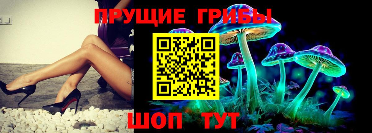Галлюциногенные грибы GOLDEN TEACHER  Вход с VPN  Черкесск 