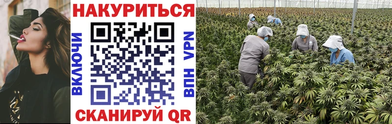 Конопля тримм  купить наркоту  Черкесск 